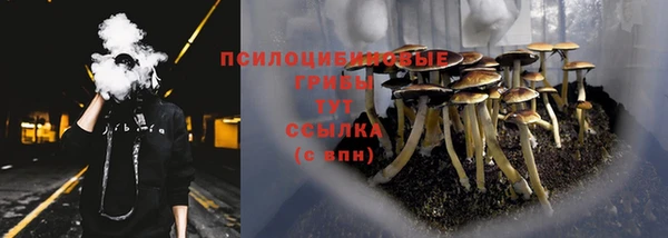 меф Горно-Алтайск