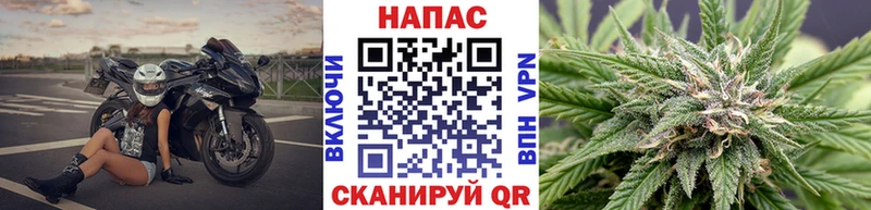 Купить где  Красноуральск  Канабис VHQ 